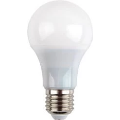 V-TAC Ampoule LED - 7W 230V E27 A60 - Thermoplastique - Blanc Chaud