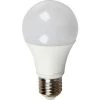 V-TAC Ampoule LED - 12W 230V E27 A60 - Thermoplastique - Blanc Froid